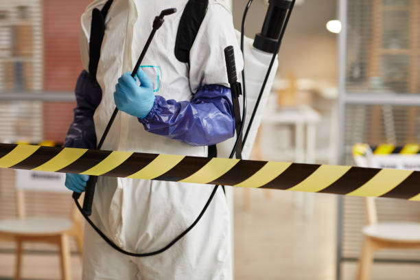 Professional Blood Cleanup technician working in Hereford, TX